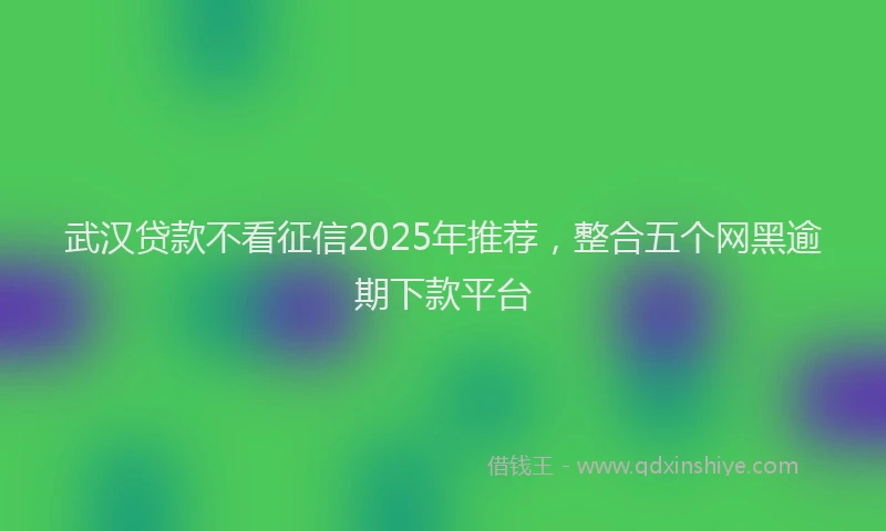 武汉贷款不看征信2025年推荐，整合五个网黑逾期下款平台