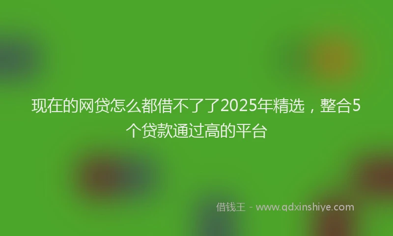 现在的网贷怎么都借不了了2025年精选，整合5个贷款通过高的平台