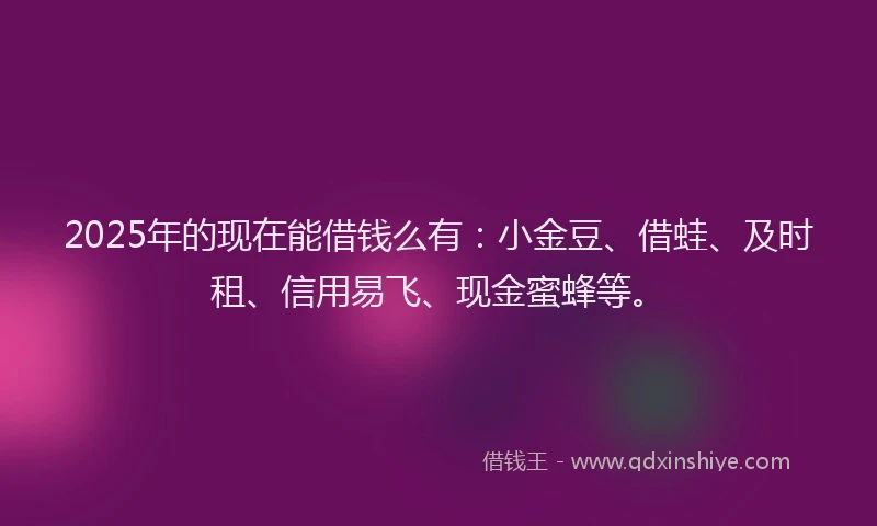 2025年的现在能借钱么有：小金豆、借蛙、及时租、信用易飞、现金蜜蜂等。