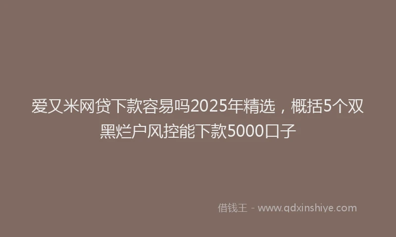 爱又米网贷下款容易吗2025年精选，概括5个双黑烂户风控能下款5000口子