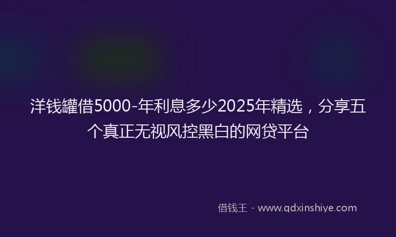洋钱罐借5000-年利息多少2025年精选，分享五个真正无视风控黑白的网贷平台