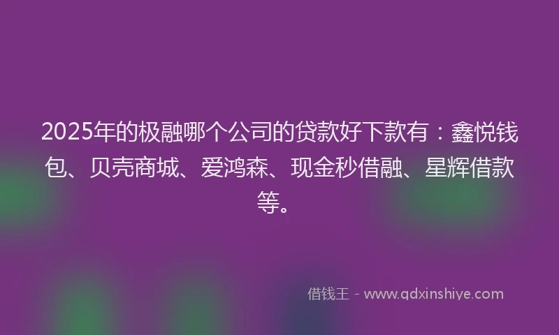 2025年的极融哪个公司的贷款好下款有：鑫悦钱包、贝壳商城、爱鸿森、现金秒借融、星辉借款等。