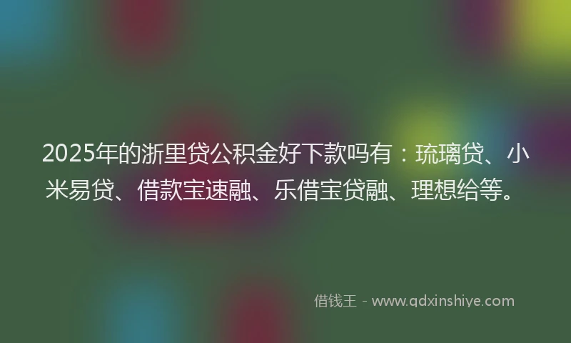 2025年的浙里贷公积金好下款吗有：琉璃贷、小米易贷、借款宝速融、乐借宝贷融、理想给等。