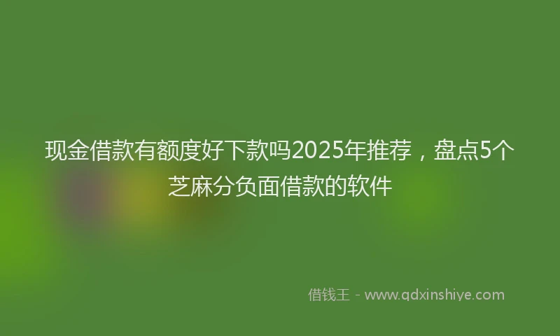 现金借款有额度好下款吗2025年推荐，盘点5个芝麻分负面借款的软件