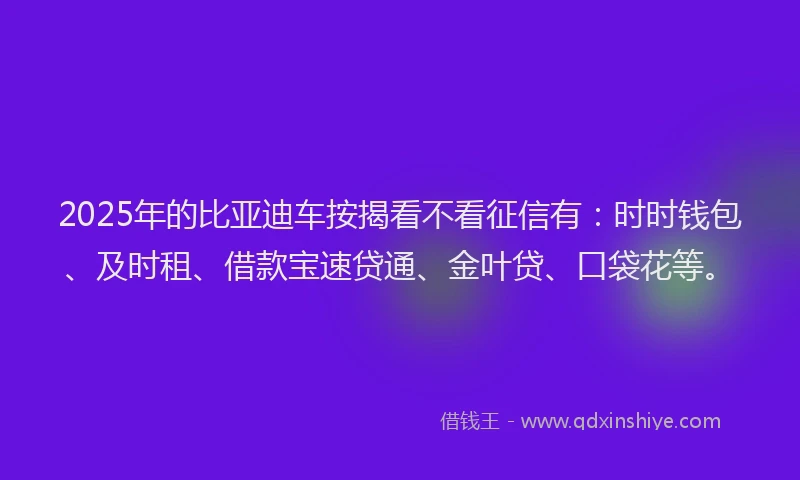 2025年的比亚迪车按揭看不看征信有：时时钱包、及时租、借款宝速贷通、金叶贷、口袋花等。