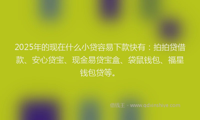 2025年的现在什么小贷容易下款快有：拍拍贷借款、安心贷宝、现金易贷宝盒、袋鼠钱包、福星钱包贷等。