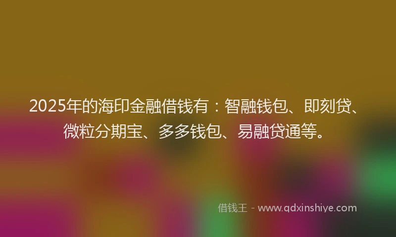 2025年的海印金融借钱有：智融钱包、即刻贷、微粒分期宝、多多钱包、易融贷通等。