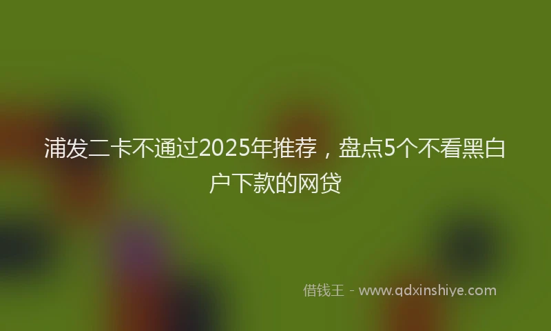 浦发二卡不通过2025年推荐，盘点5个不看黑白户下款的网贷