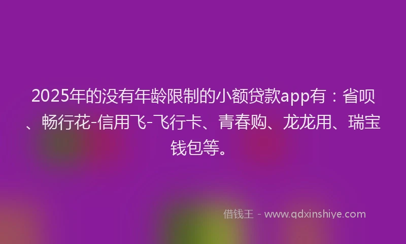 2025年的没有年龄限制的小额贷款app有：省呗、畅行花-信用飞-飞行卡、青春购、龙龙用、瑞宝钱包等。
