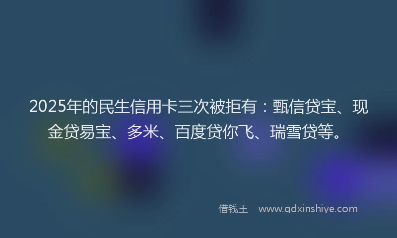 2025年的民生信用卡三次被拒有：甄信贷宝、现金贷易宝、多米、百度贷你飞、瑞雪贷等。