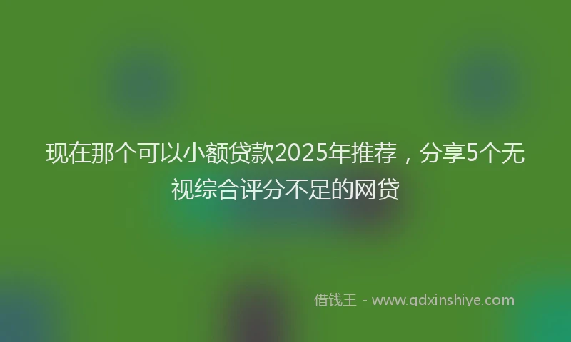现在那个可以小额贷款2025年推荐，分享5个无视综合评分不足的网贷