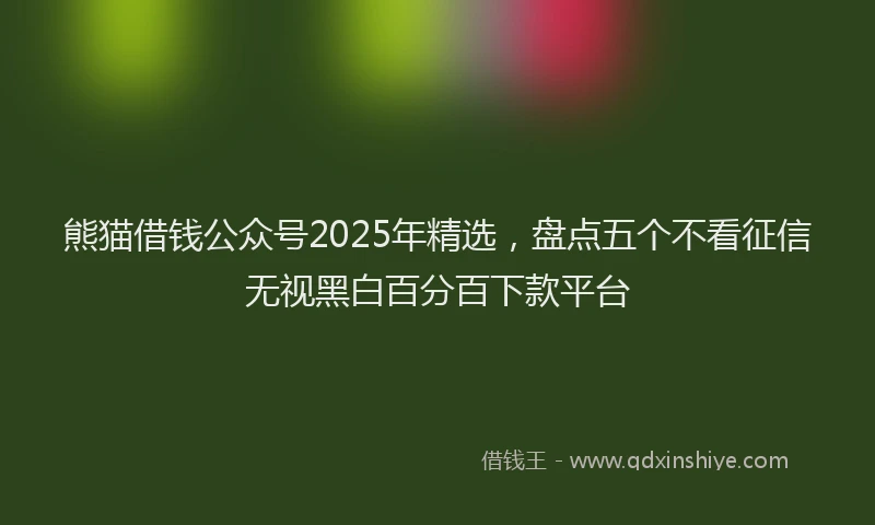 熊猫借钱公众号2025年精选，盘点五个不看征信无视黑白百分百下款平台