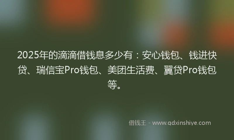 2025年的滴滴借钱息多少有：安心钱包、钱进快贷、瑞信宝Pro钱包、美团生活费、翼贷Pro钱包等。