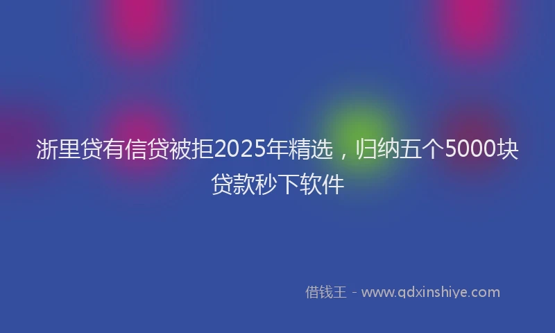 浙里贷有信贷被拒2025年精选，归纳五个5000块贷款秒下软件