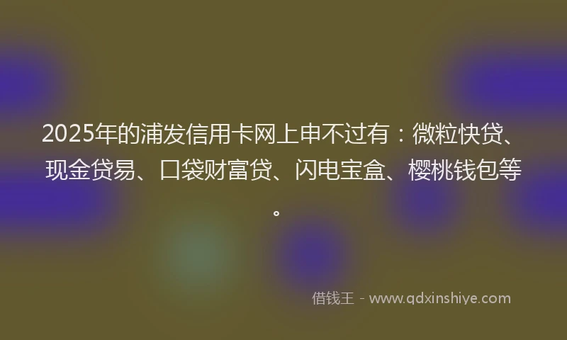 2025年的浦发信用卡网上申不过有：微粒快贷、现金贷易、口袋财富贷、闪电宝盒、樱桃钱包等。