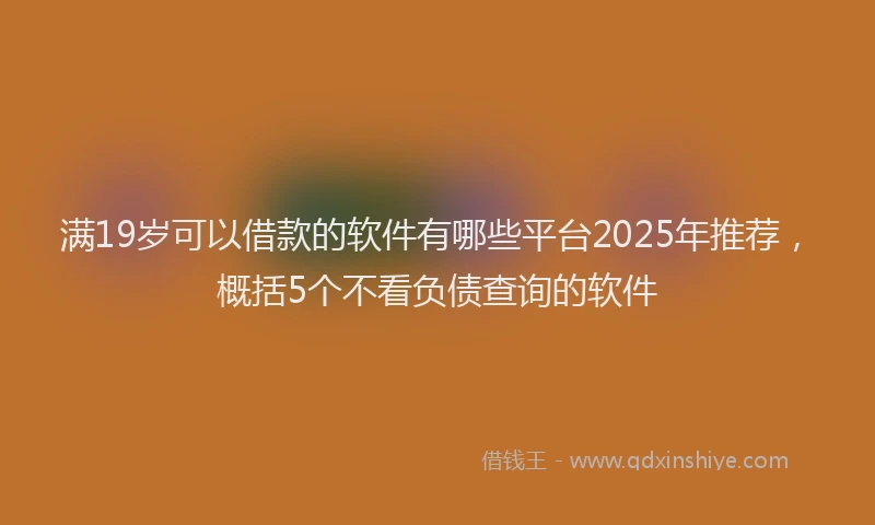 满19岁可以借款的软件有哪些平台2025年推荐，概括5个不看负债查询的软件