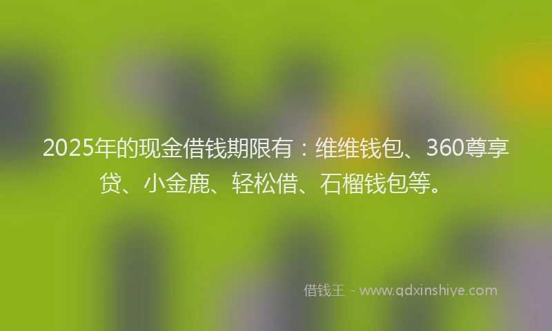2025年的现金借钱期限有：维维钱包、360尊享贷、小金鹿、轻松借、石榴钱包等。