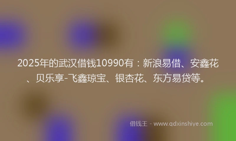 2025年的武汉借钱10990有：新浪易借、安鑫花、贝乐享-飞鑫琼宝、银杏花、东方易贷等。