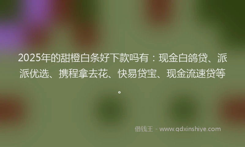 2025年的甜橙白条好下款吗有：现金白鸽贷、派派优选、携程拿去花、快易贷宝、现金流速贷等。