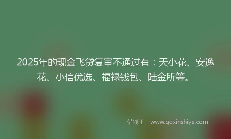 2025年的现金飞贷复审不通过有：天小花、安逸花、小信优选、福禄钱包、陆金所等。