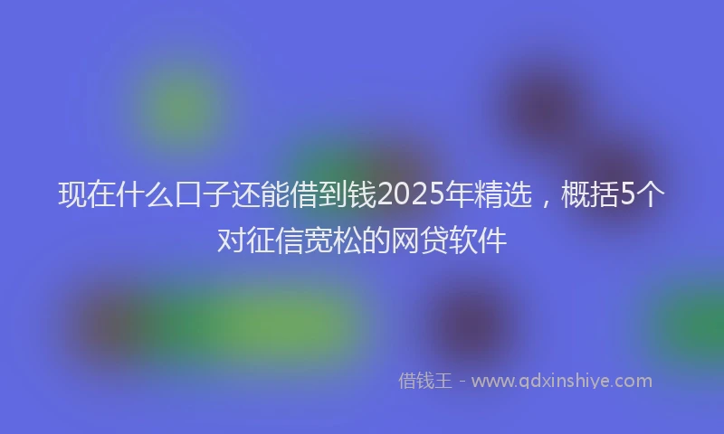 现在什么口子还能借到钱2025年精选，概括5个对征信宽松的网贷软件