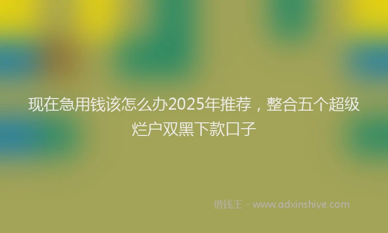 现在急用钱该怎么办2025年推荐，整合五个超级烂户双黑下款口子