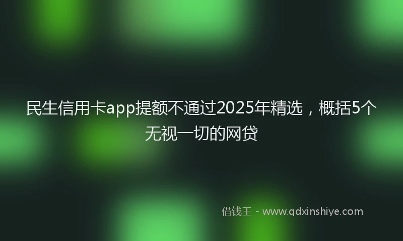 民生信用卡app提额不通过2025年精选，概括5个无视一切的网贷