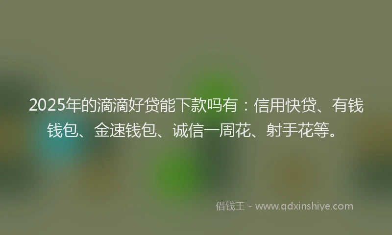 2025年的滴滴好贷能下款吗有：信用快贷、有钱钱包、金速钱包、诚信一周花、射手花等。