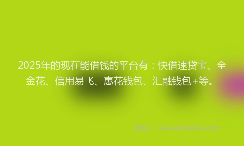 2025年的现在能借钱的平台有：快借速贷宝、全金花、信用易飞、惠花钱包、汇融钱包+等。