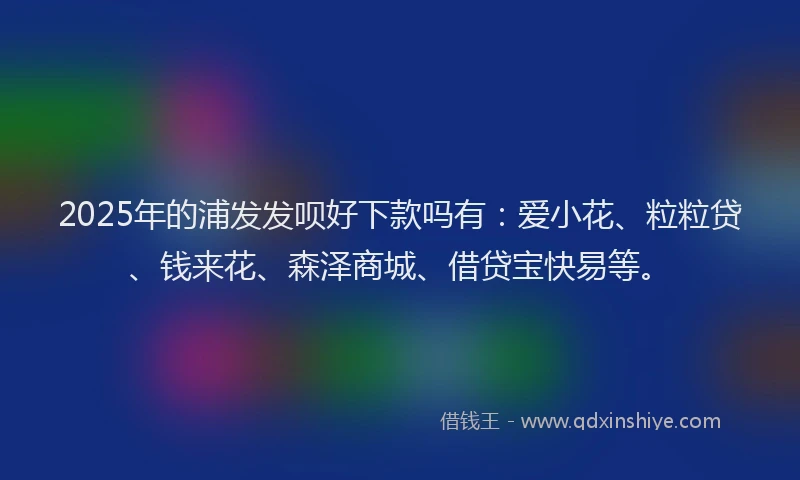 2025年的浦发发呗好下款吗有：爱小花、粒粒贷、钱来花、森泽商城、借贷宝快易等。