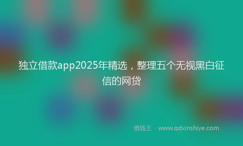 独立借款app2025年精选，整理五个无视黑白征信的网贷