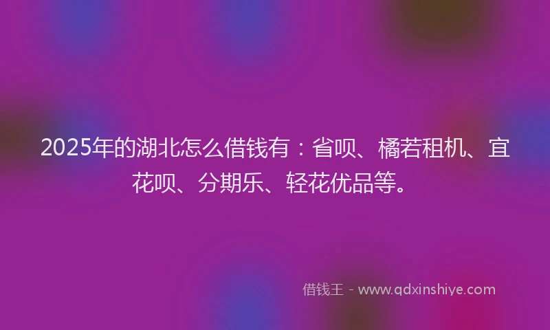 2025年的湖北怎么借钱有：省呗、橘若租机、宜花呗、分期乐、轻花优品等。