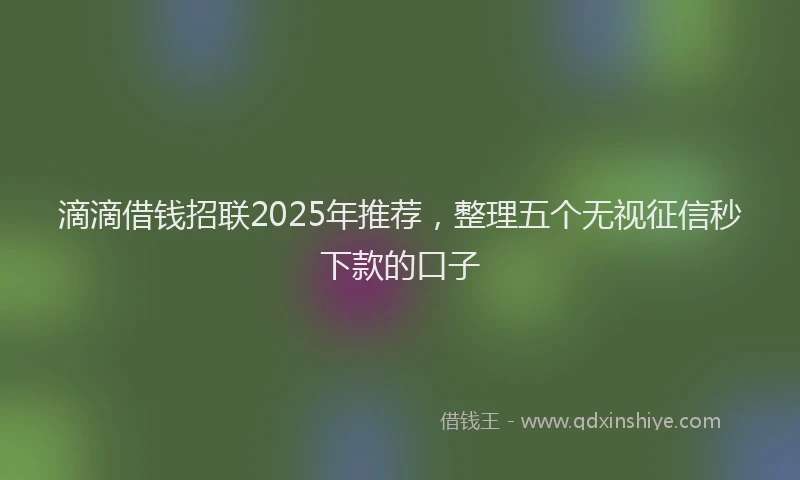 滴滴借钱招联2025年推荐，整理五个无视征信秒下款的口子