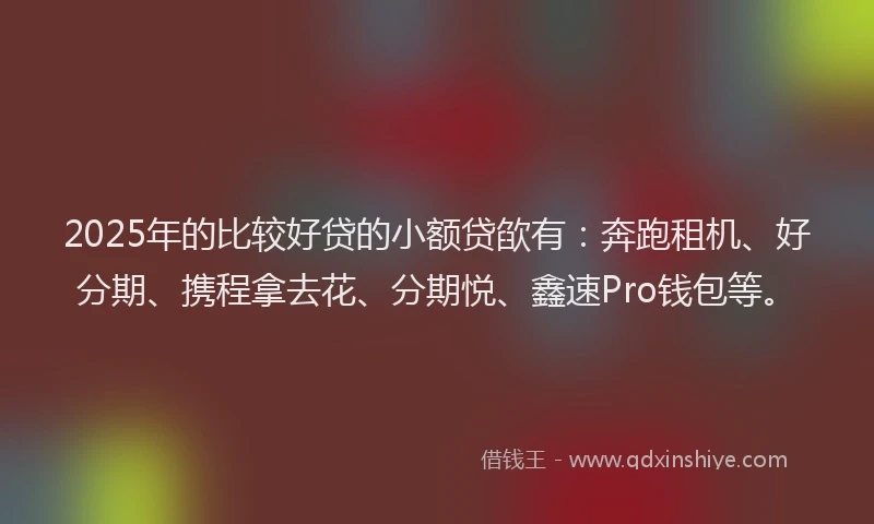 2025年的比较好贷的小额贷欿有：奔跑租机、好分期、携程拿去花、分期悦、鑫速Pro钱包等。