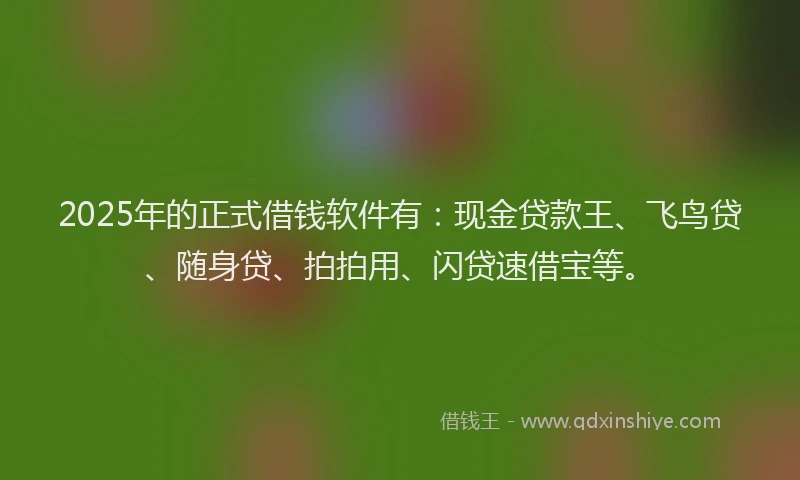 2025年的正式借钱软件有：现金贷款王、飞鸟贷、随身贷、拍拍用、闪贷速借宝等。