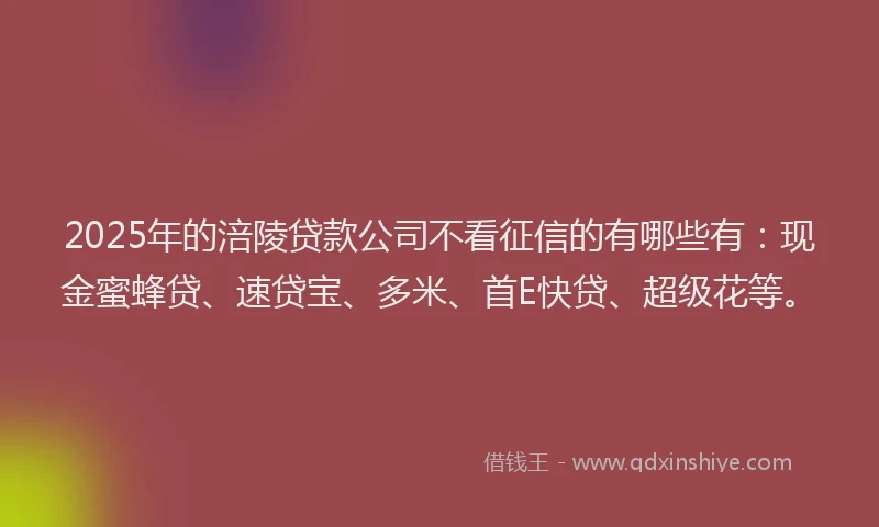 2025年的涪陵贷款公司不看征信的有哪些有：现金蜜蜂贷、速贷宝、多米、首E快贷、超级花等。