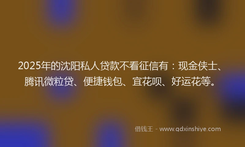 2025年的沈阳私人贷款不看征信有：现金侠士、腾讯微粒贷、便捷钱包、宜花呗、好运花等。