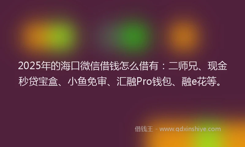 2025年的海口微信借钱怎么借有：二师兄、现金秒贷宝盒、小鱼免审、汇融Pro钱包、融e花等。