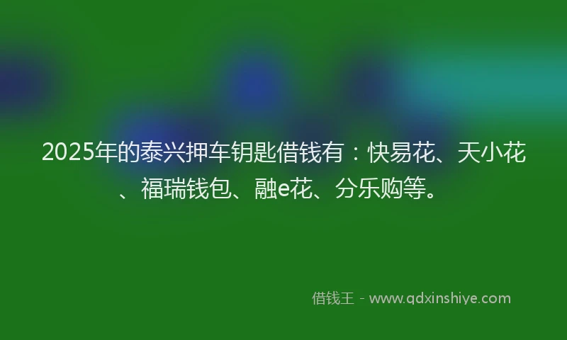 2025年的泰兴押车钥匙借钱有：快易花、天小花、福瑞钱包、融e花、分乐购等。