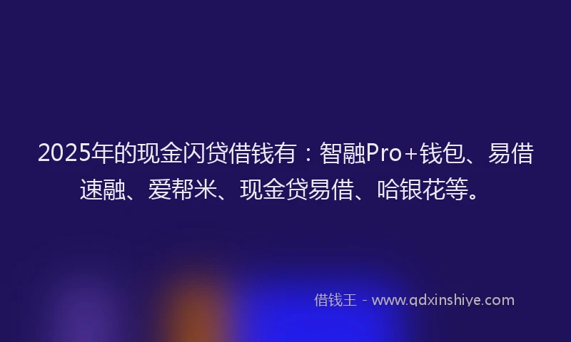 2025年的现金闪贷借钱有：智融Pro+钱包、易借速融、爱帮米、现金贷易借、哈银花等。