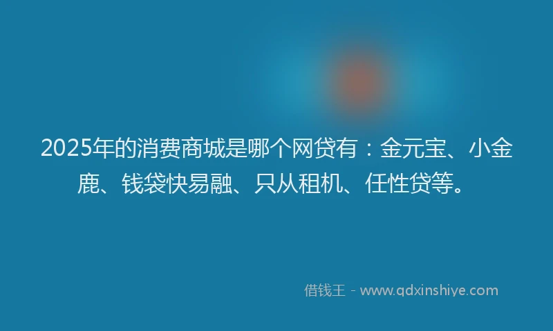 2025年的消费商城是哪个网贷有：金元宝、小金鹿、钱袋快易融、只从租机、任性贷等。