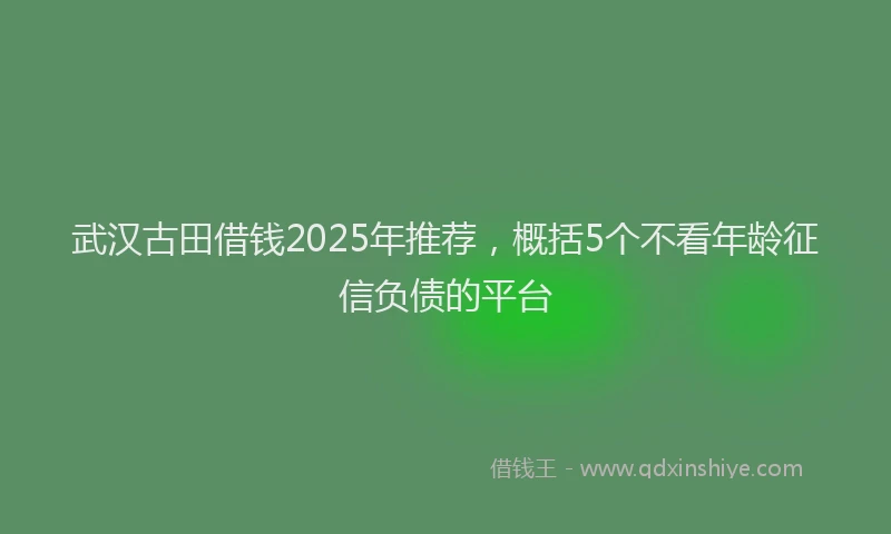 武汉古田借钱2025年推荐，概括5个不看年龄征信负债的平台