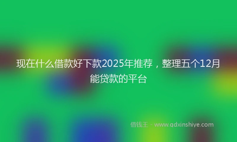 现在什么借款好下款2025年推荐，整理五个12月能贷款的平台