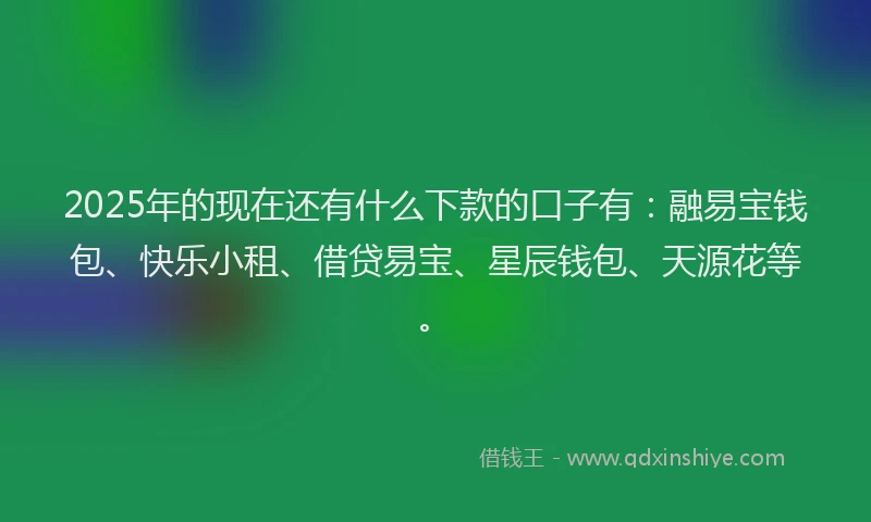 2025年的现在还有什么下款的口子有：融易宝钱包、快乐小租、借贷易宝、星辰钱包、天源花等。