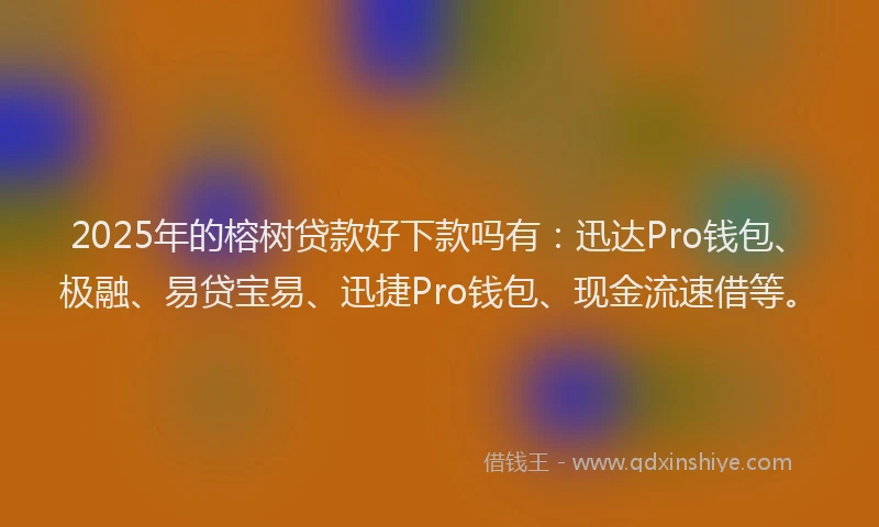 2025年的榕树贷款好下款吗有：迅达Pro钱包、极融、易贷宝易、迅捷Pro钱包、现金流速借等。