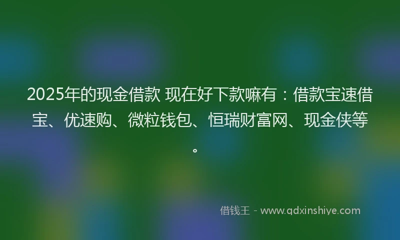 2025年的现金借款 现在好下款嘛有：借款宝速借宝、优速购、微粒钱包、恒瑞财富网、现金侠等。