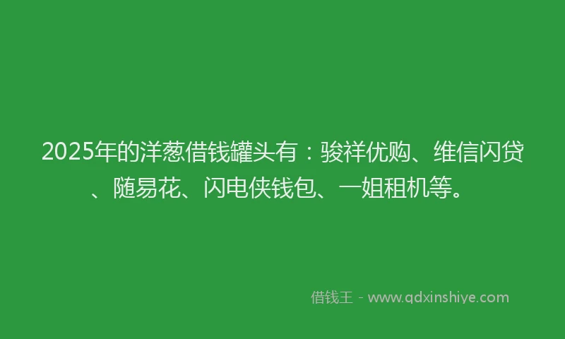 2025年的洋葱借钱罐头有：骏祥优购、维信闪贷、随易花、闪电侠钱包、一姐租机等。