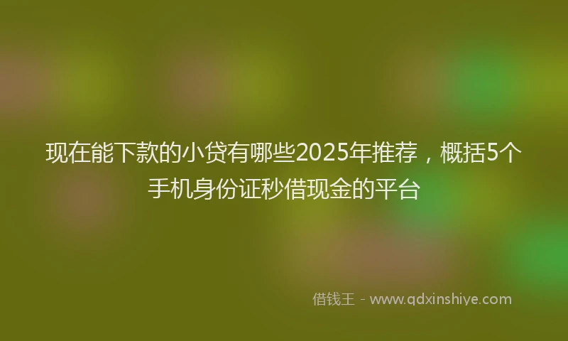 现在能下款的小贷有哪些2025年推荐，概括5个手机身份证秒借现金的平台