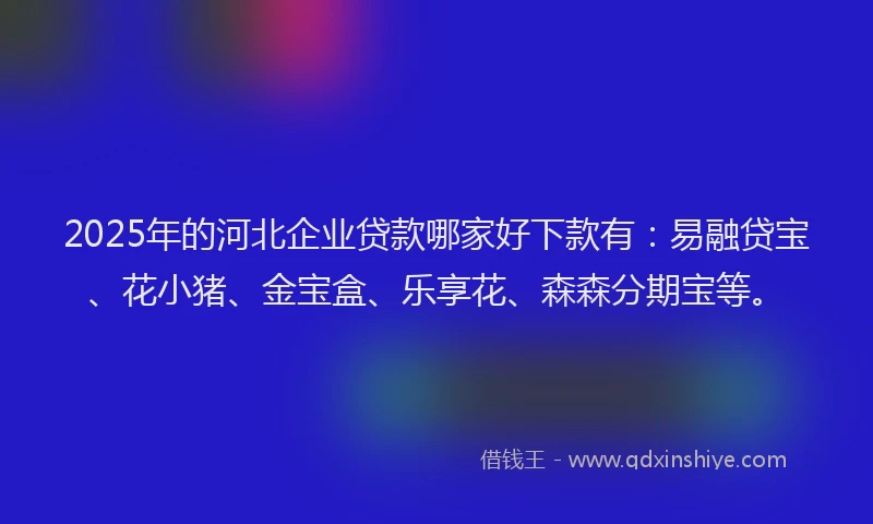 2025年的河北企业贷款哪家好下款有：易融贷宝、花小猪、金宝盒、乐享花、森森分期宝等。