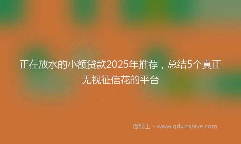 正在放水的小额贷款2025年推荐，总结5个真正无视征信花的平台
